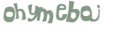 CAPTCHA 挑戰