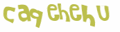 Desafio Captcha
