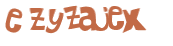 CAPTCHA 挑戰