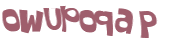 CAPTCHA 挑戰