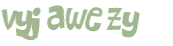 Wyzwanie captcha