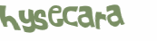 CAPTCHA 挑戰