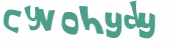 Captcha 챌린지