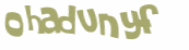 CAPTCHA 挑戰