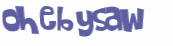 CAPTCHA 挑戰