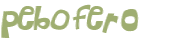 Desafio Captcha