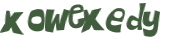 Captcha 챌린지