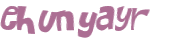 CAPTCHA 挑戰