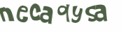 Captchafråga