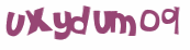 Wyzwanie captcha