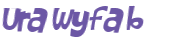 CAPTCHA 挑戰