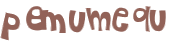 CAPTCHA 挑戰