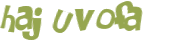 CAPTCHA-haaste