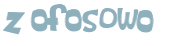 Wyzwanie captcha