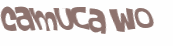 Desafio Captcha