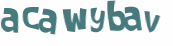 CAPTCHA 挑戰