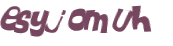 CAPTCHA 挑戰