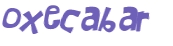 CAPTCHA 挑戰