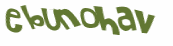 Captcha 챌린지