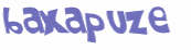 Captcha 챌린지