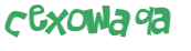 Captcha 챌린지