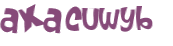CAPTCHA 挑戰