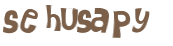 Sfida captcha