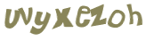 CAPTCHA 挑戰