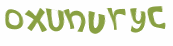 Captcha 챌린지
