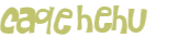 CAPTCHA 挑戰