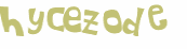 Wyzwanie captcha