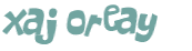 CAPTCHA 挑戰
