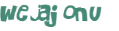 CAPTCHA 挑戰