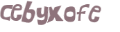 Captcha 챌린지
