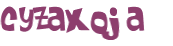 Captcha 챌린지