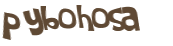 Captcha 챌린지