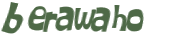 CAPTCHA 挑戰