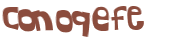 Desafio Captcha