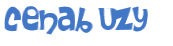 CAPTCHA-haaste