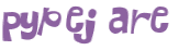 CAPTCHA 挑戰