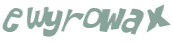 Wyzwanie captcha
