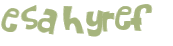 Captcha 챌린지