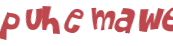 CAPTCHA 挑戰