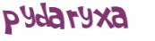 CAPTCHA 挑戰