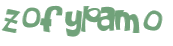 Captcha 챌린지