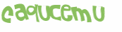 Desafio captcha