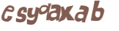CAPTCHA 挑戰