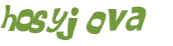 Wyzwanie captcha
