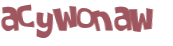 CAPTCHA 挑戰