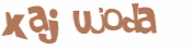 CAPTCHA 挑戰